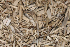 biomass boilers Tregorden