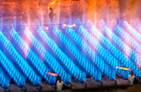 Tregorden gas fired boilers